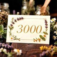 ���������� �� 3 000 ���.